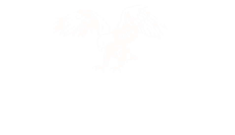 Delhi Public School